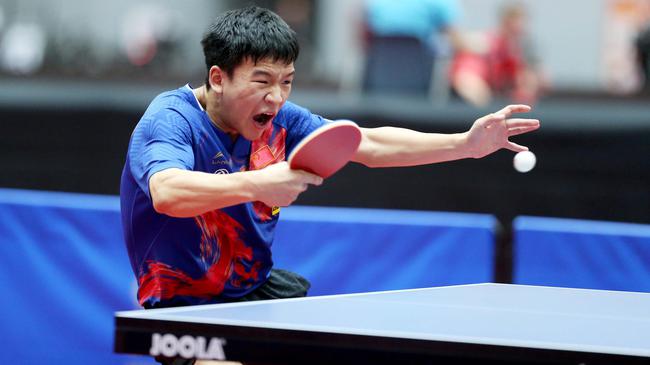 示了其在体 示了其在体