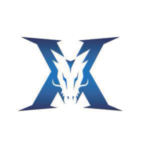 奠定了坚实 奠定了坚实